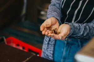 Hands counting coins
