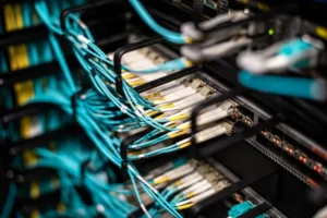 Blue and white network cables plugged into a rack panel